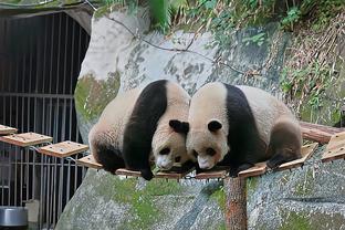 实至名归！雷霆主帅戴格诺特获得年度最佳教练